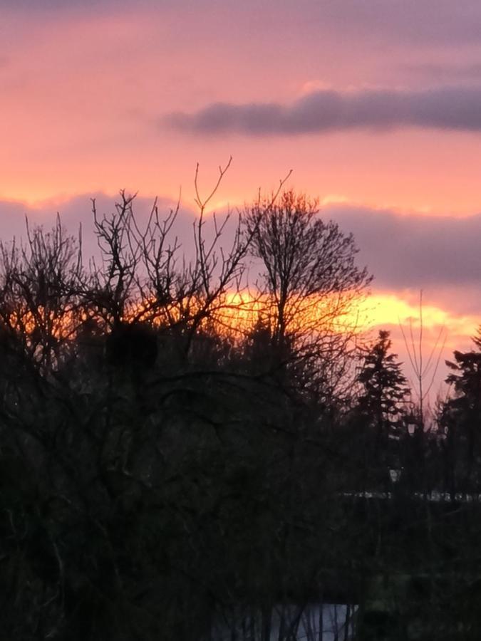 Domaine De La Cour Vautier Bed & Breakfast Mandeville-en-Bessin ภายนอก รูปภาพ